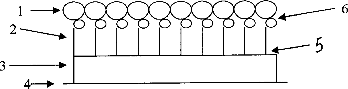 Photocatalytic membrane and its preparation process