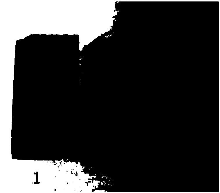 Bismuth vanadate photo-anode film and preparation method thereof