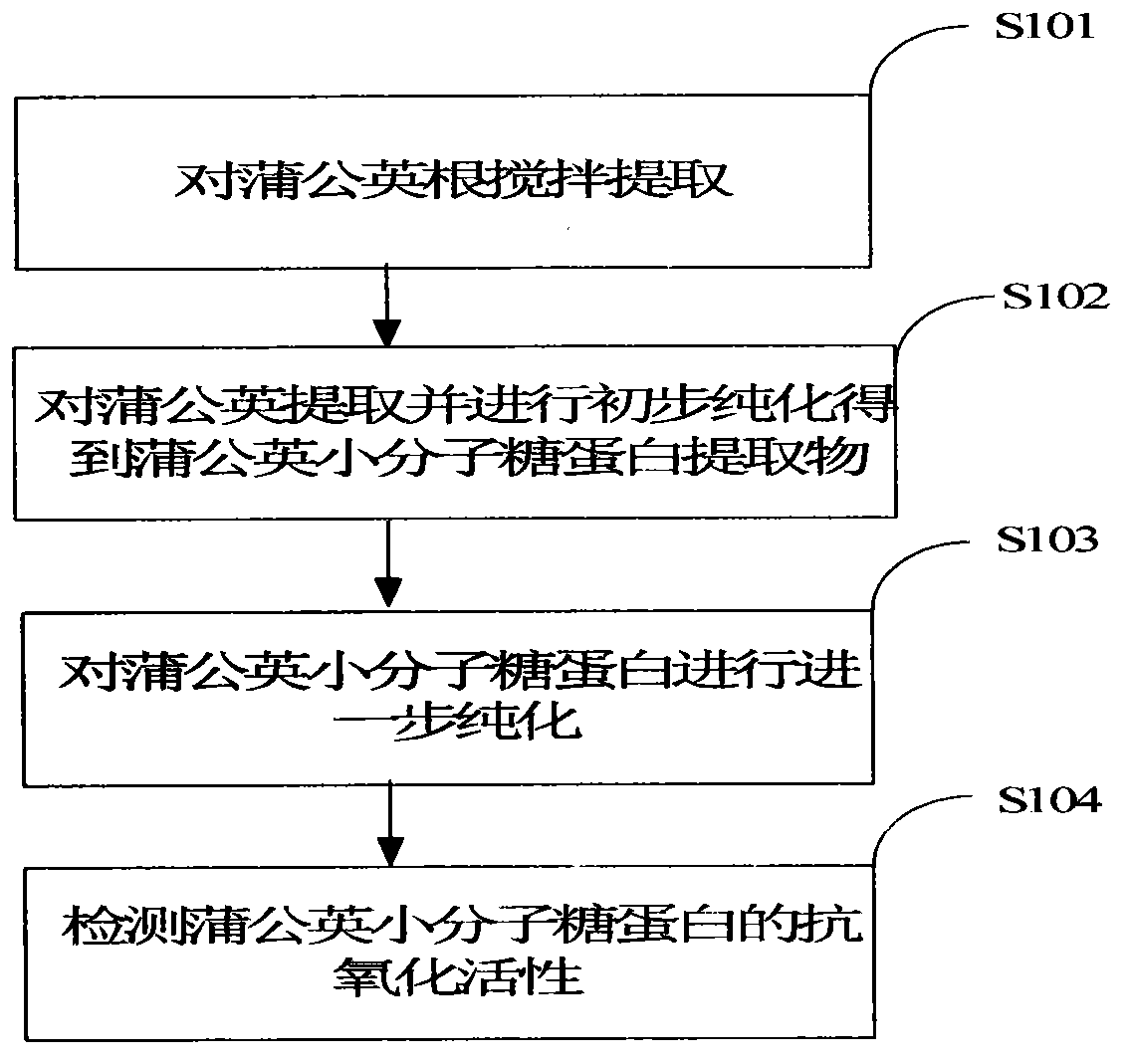 Preparation method of dandelion small molecule glycoprotein