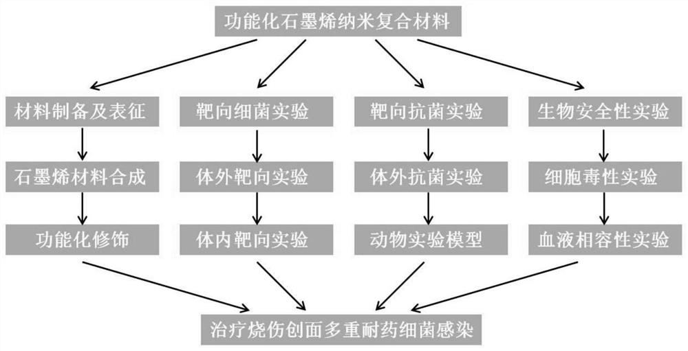 Experiment method for multidrug resistant bacterial infection of burn wounds