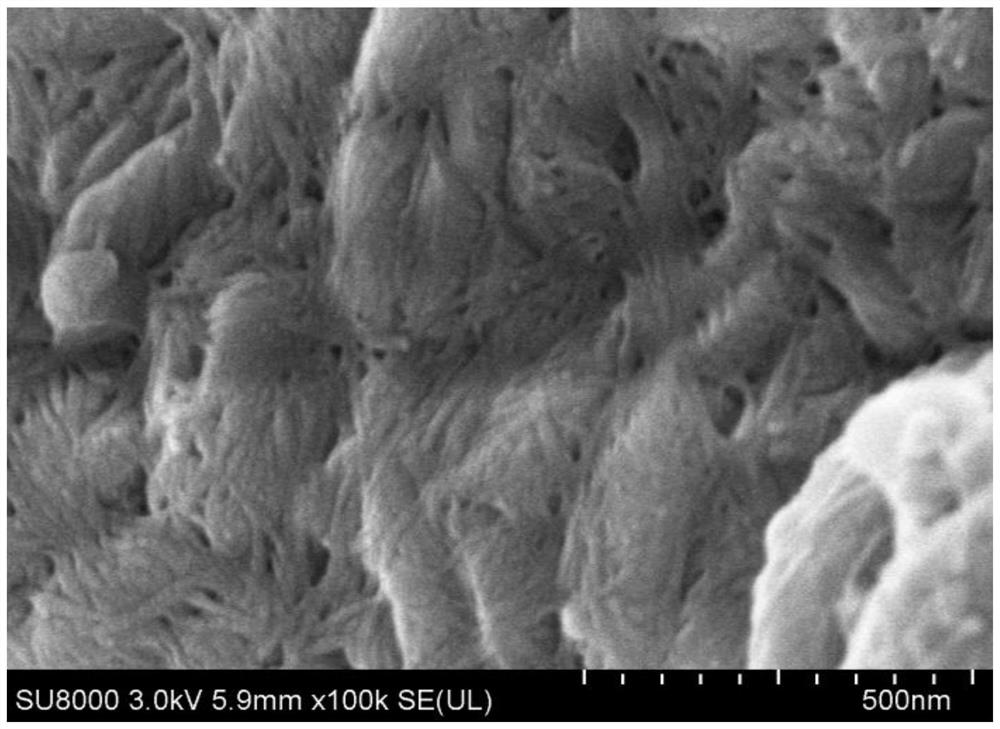 Preparation method of mesoporous cellulose fiber material