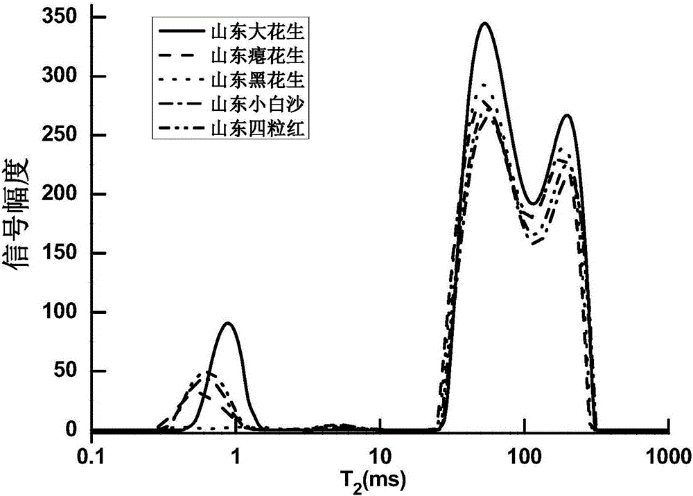 Peanut variety nondestructive testing method based on nuclear magnetic resonance technology