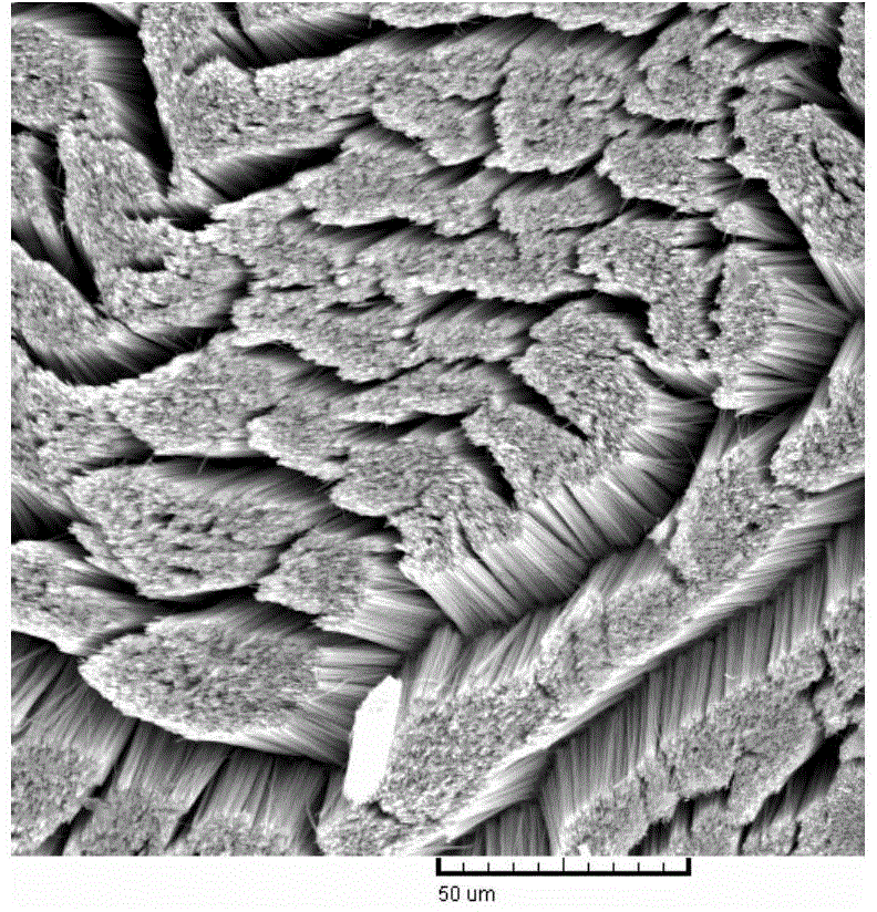 Method for manufacturing multilayer nanowires by template electrochemical synthesis technology