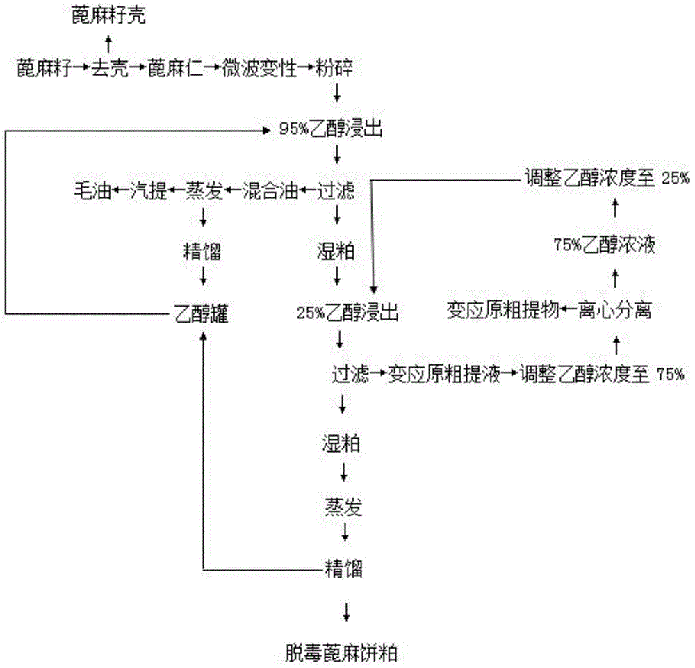 Method for extracting castor oil and synchronously leaching ricinine and allergen toxin from castor bean meal employing ethanol solution and application