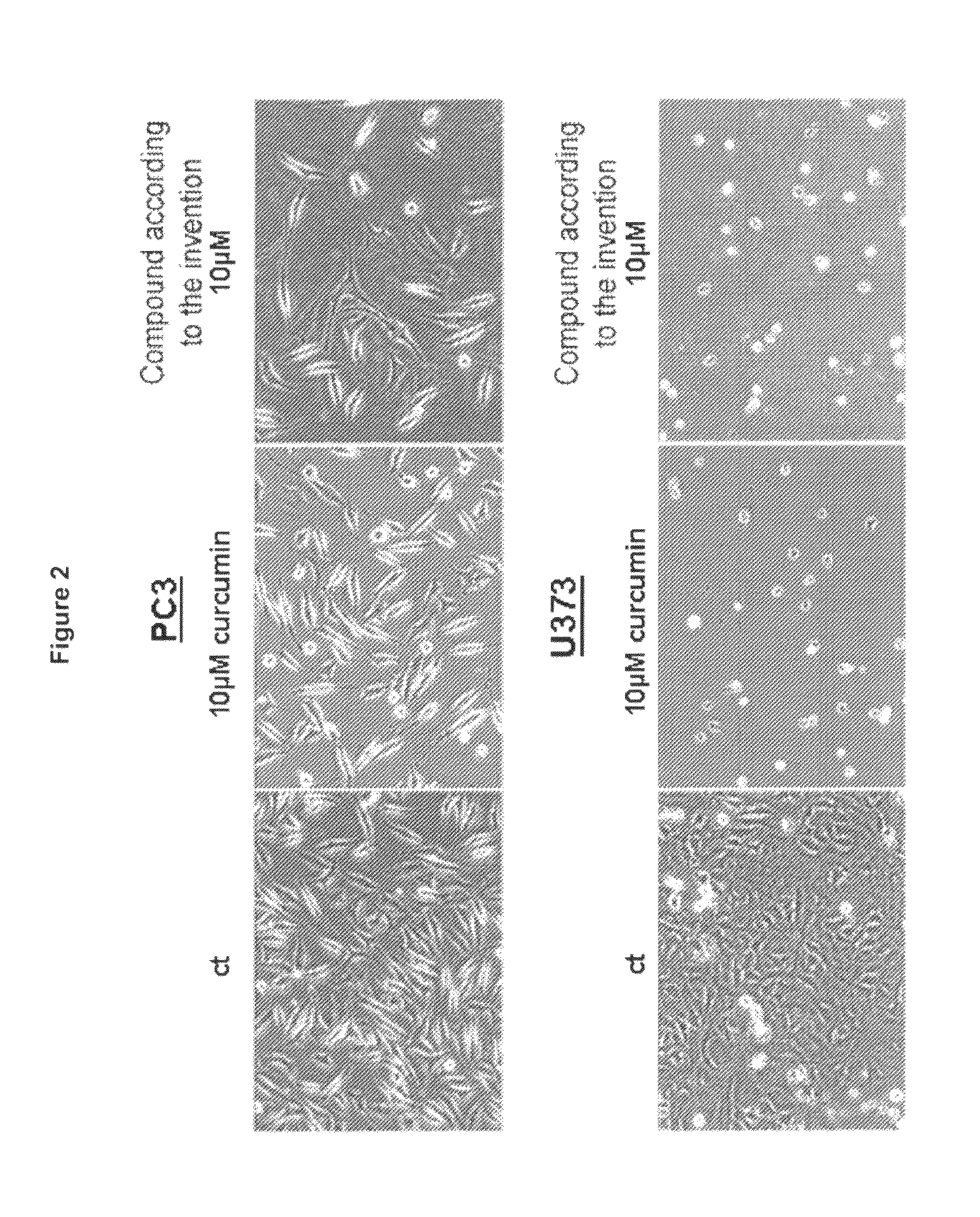 Water soluble curcumin compositions for use in anti-cancer and anti-inflammatory therapy