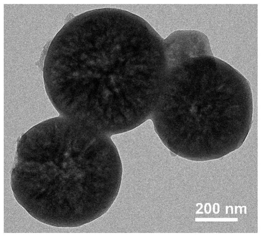 Core-shell special-shaped porous carbon sphere and preparation method thereof