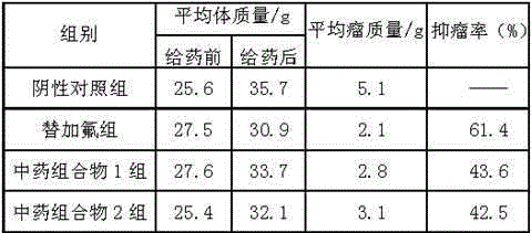 Traditional Chinese medicine composition for treating non-small cell lung cancer