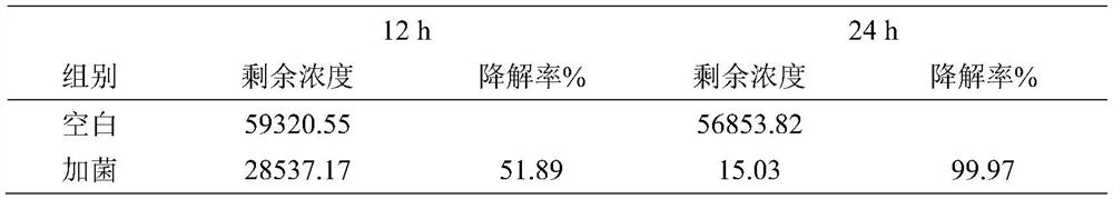 Styrene degrading bacterium and application thereof