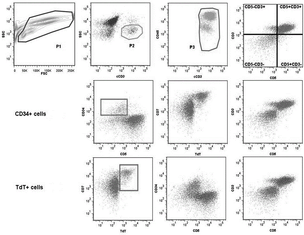 Kit for detection of acute T-lymphocytic leukemia naive T cells and application and method thereof