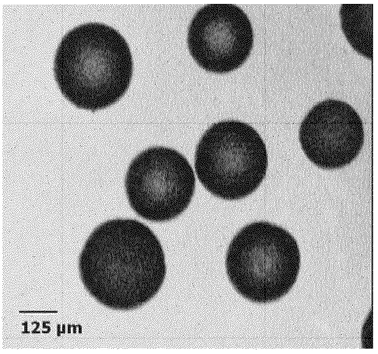 Method for preparing a porous nuclear fuel