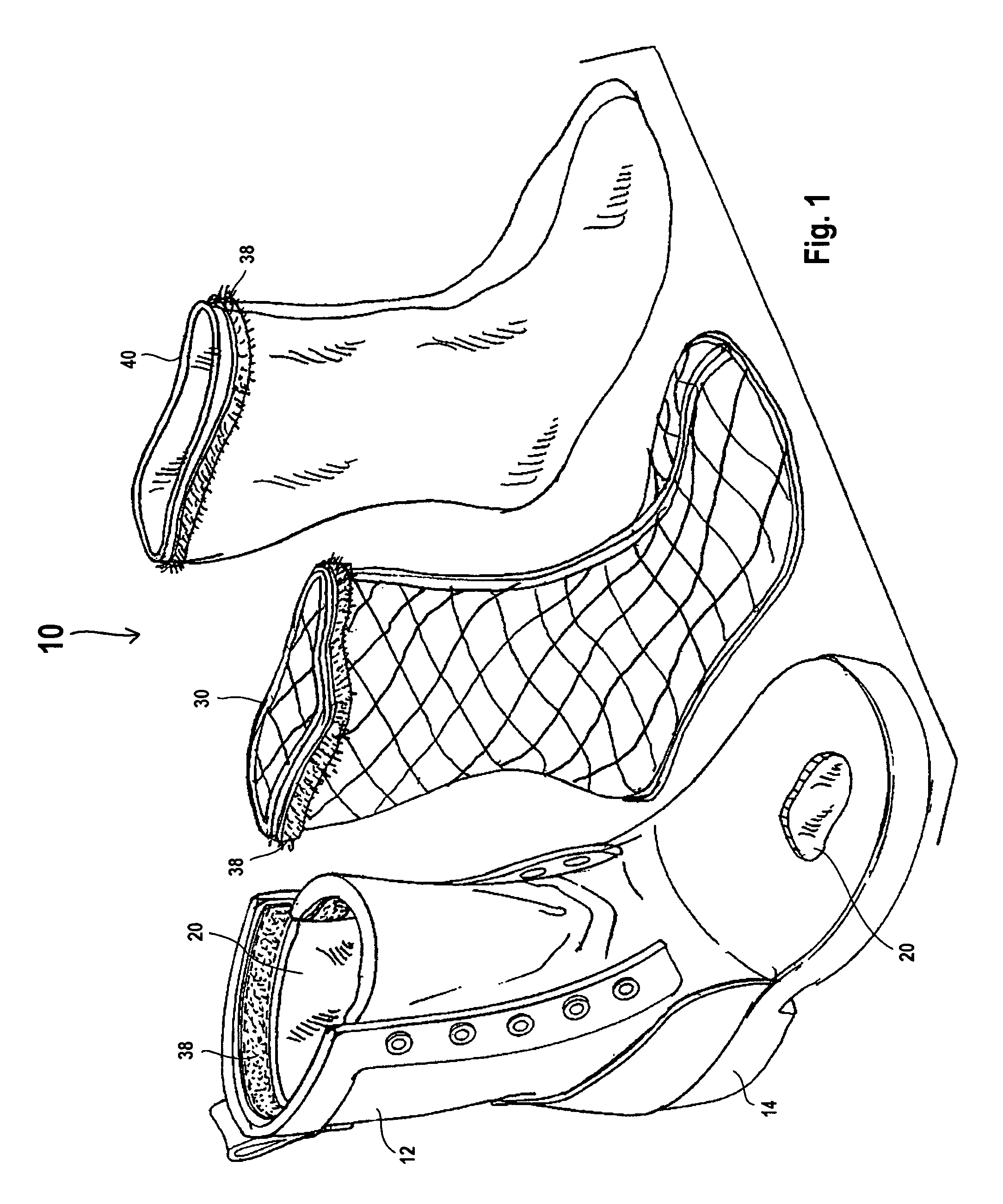 Boot with interchangeable booties