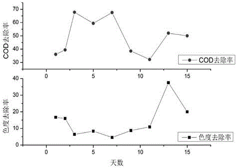 Method of using phanerochaete chrysosporium for bio-augmentation treatment of pulping wastewater