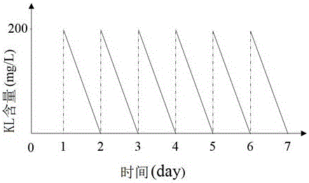 Method of using phanerochaete chrysosporium for bio-augmentation treatment of pulping wastewater