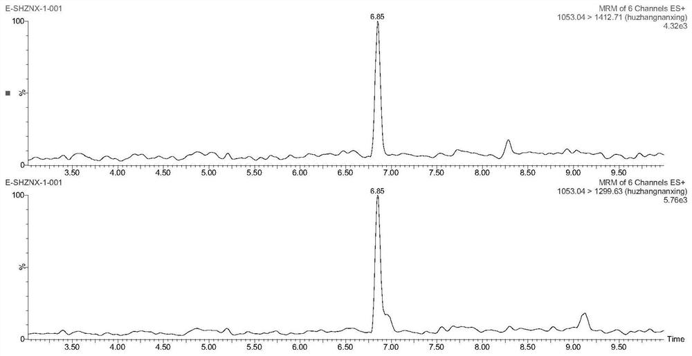 A method to identify whether pinellia is mixed with tiger palm southern star