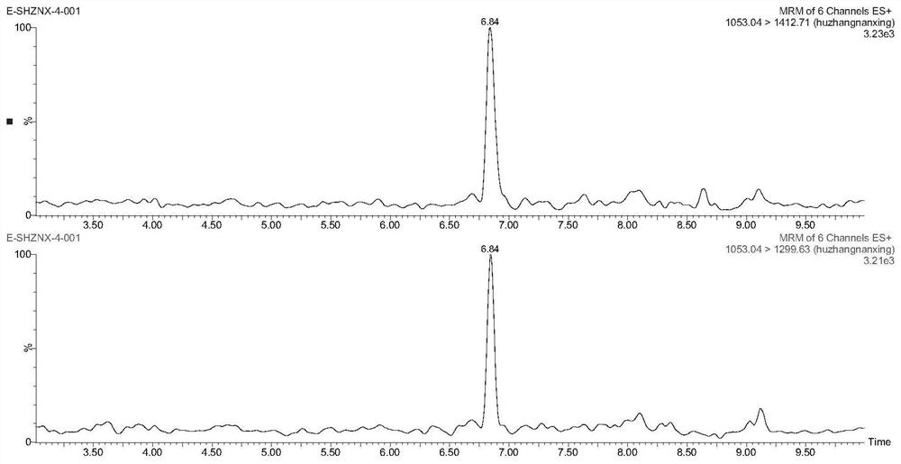 A method to identify whether pinellia is mixed with tiger palm southern star