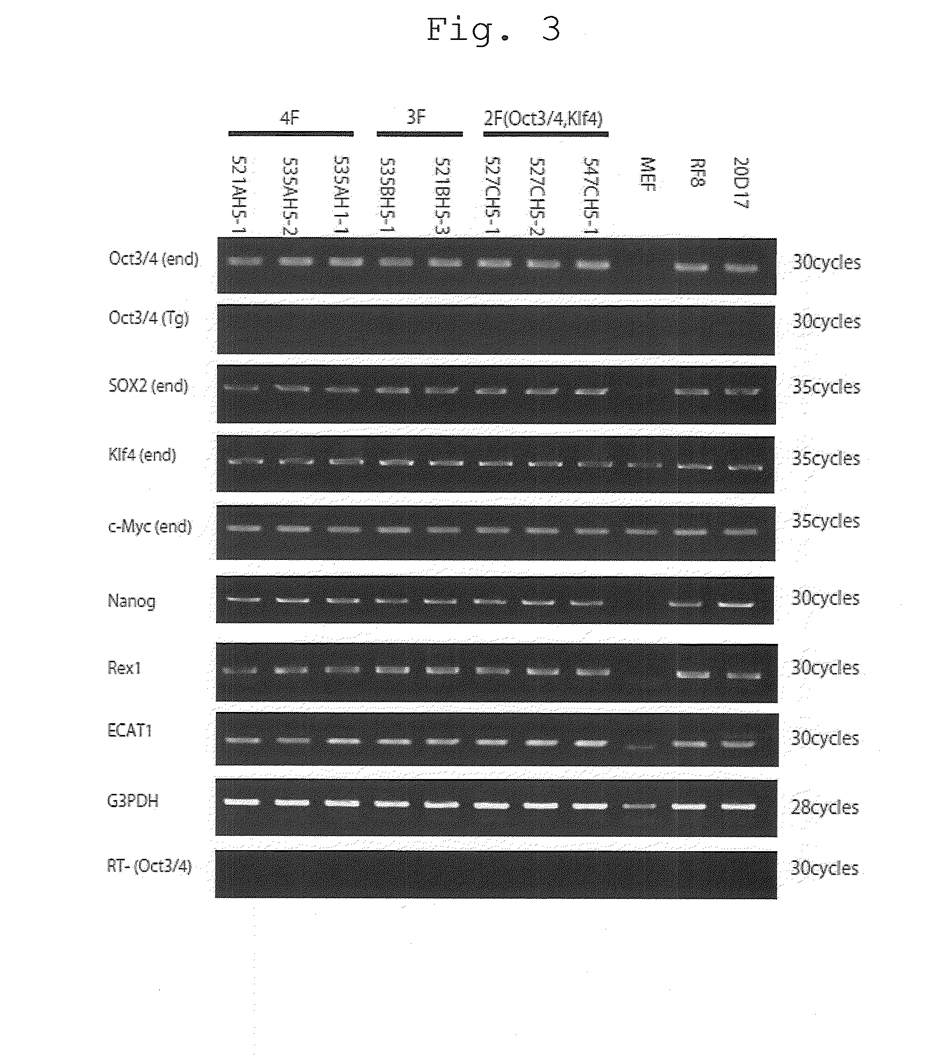 Method of efficiently establishing induced pluripotent stem cells