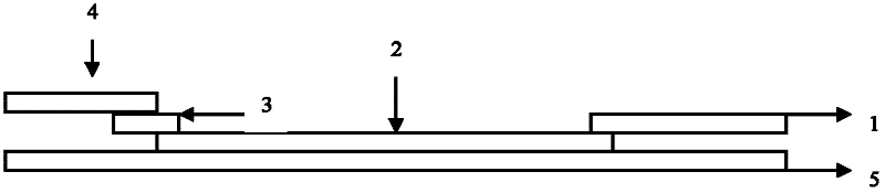 Test strip for detecting enterovirus 71 (EV71) IgM antibody