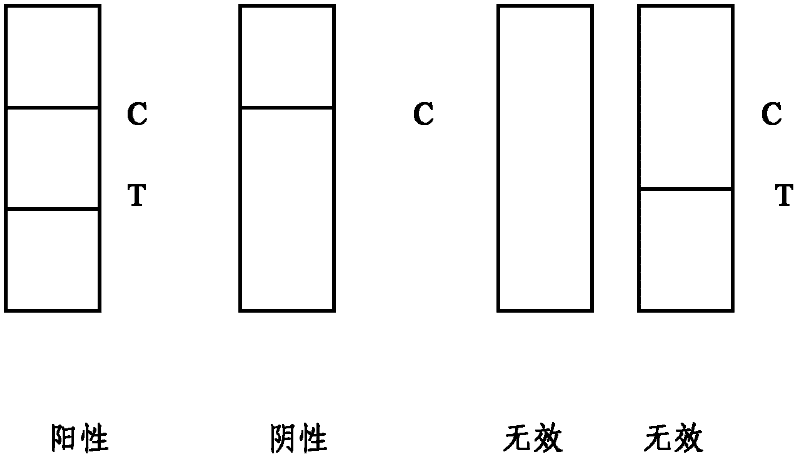 Test strip for detecting enterovirus 71 (EV71) IgM antibody