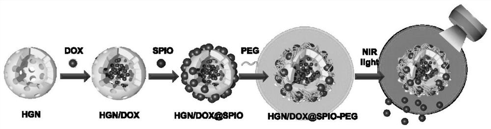 Magnetic particle-modified hollow gold nanoparticles as well as preparation method and application thereof