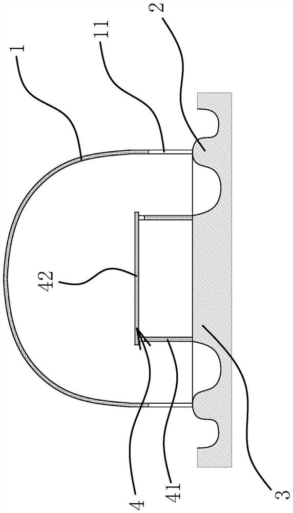 A kind of interplanting method of Patrinia alba and grapes