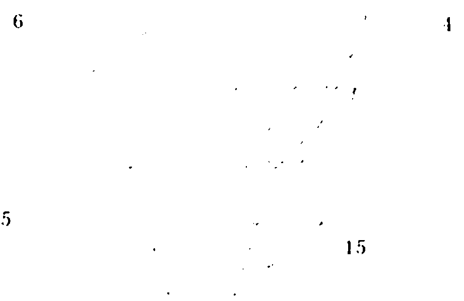 Device for building of rat spinal cord explosion injury model