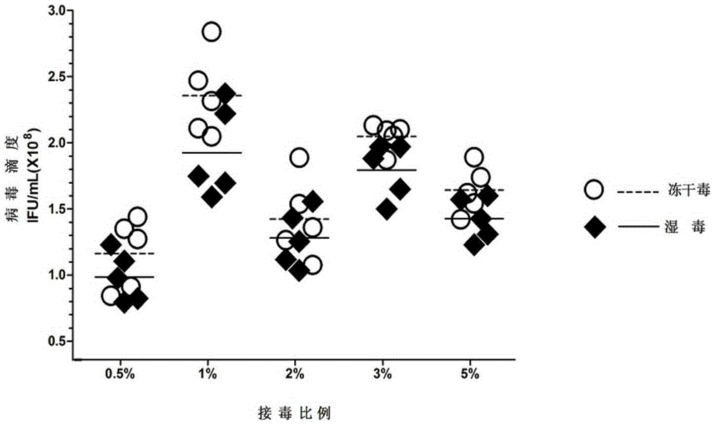 Classical swine fever virus (CSFV) gene recombinant adenovirus and production method thereof