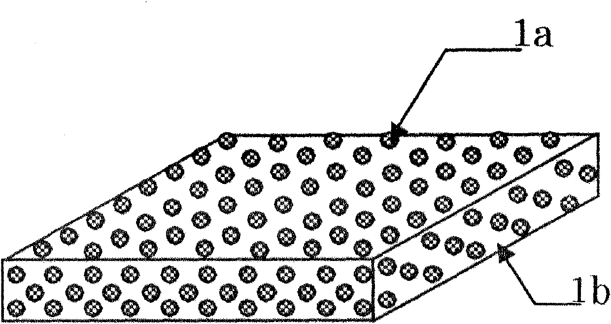 Film-form preparation