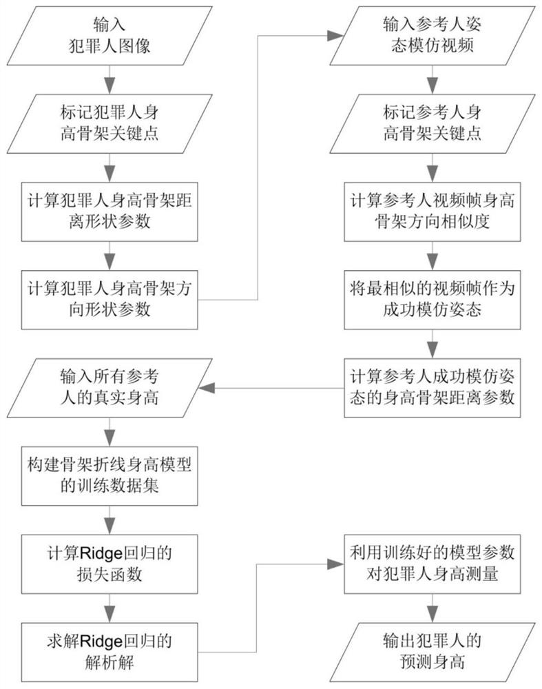 Height Measurement Method Based on Skeleton Breakline Ridge Regression