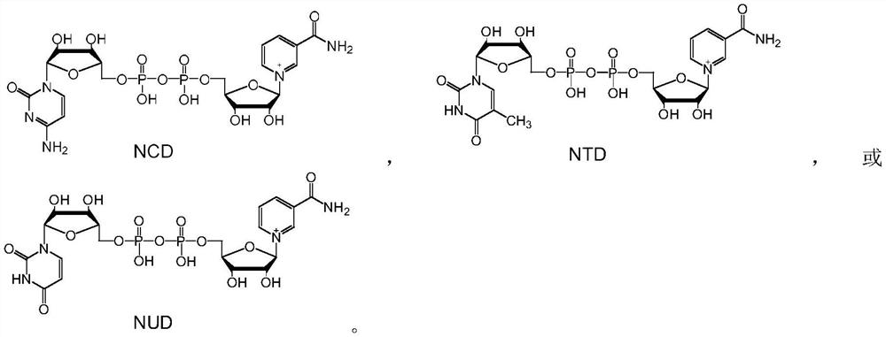 Method for reducing NAD analogue by using methanol