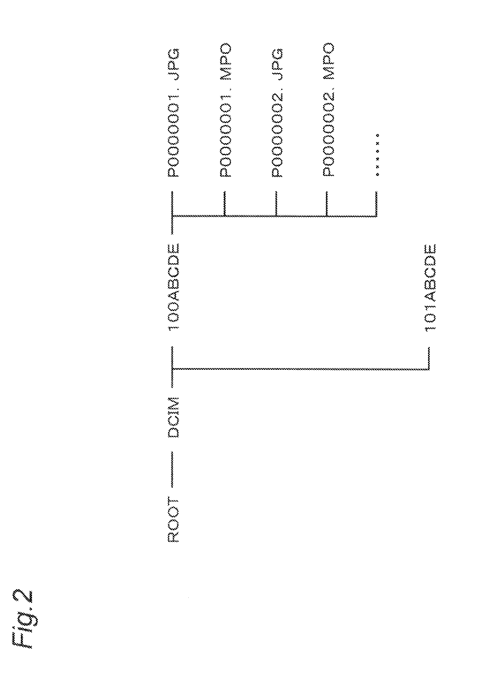 Reproducing apparatus