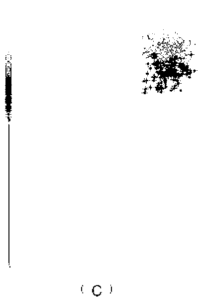 Classifying method based on sparse measurement