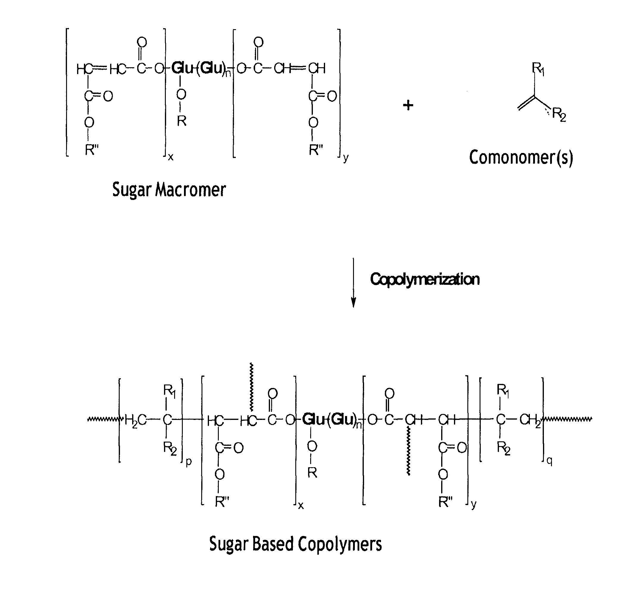 Use of biobased sugar monomers in vinyl copolymers as latex binders and compositions based thereon