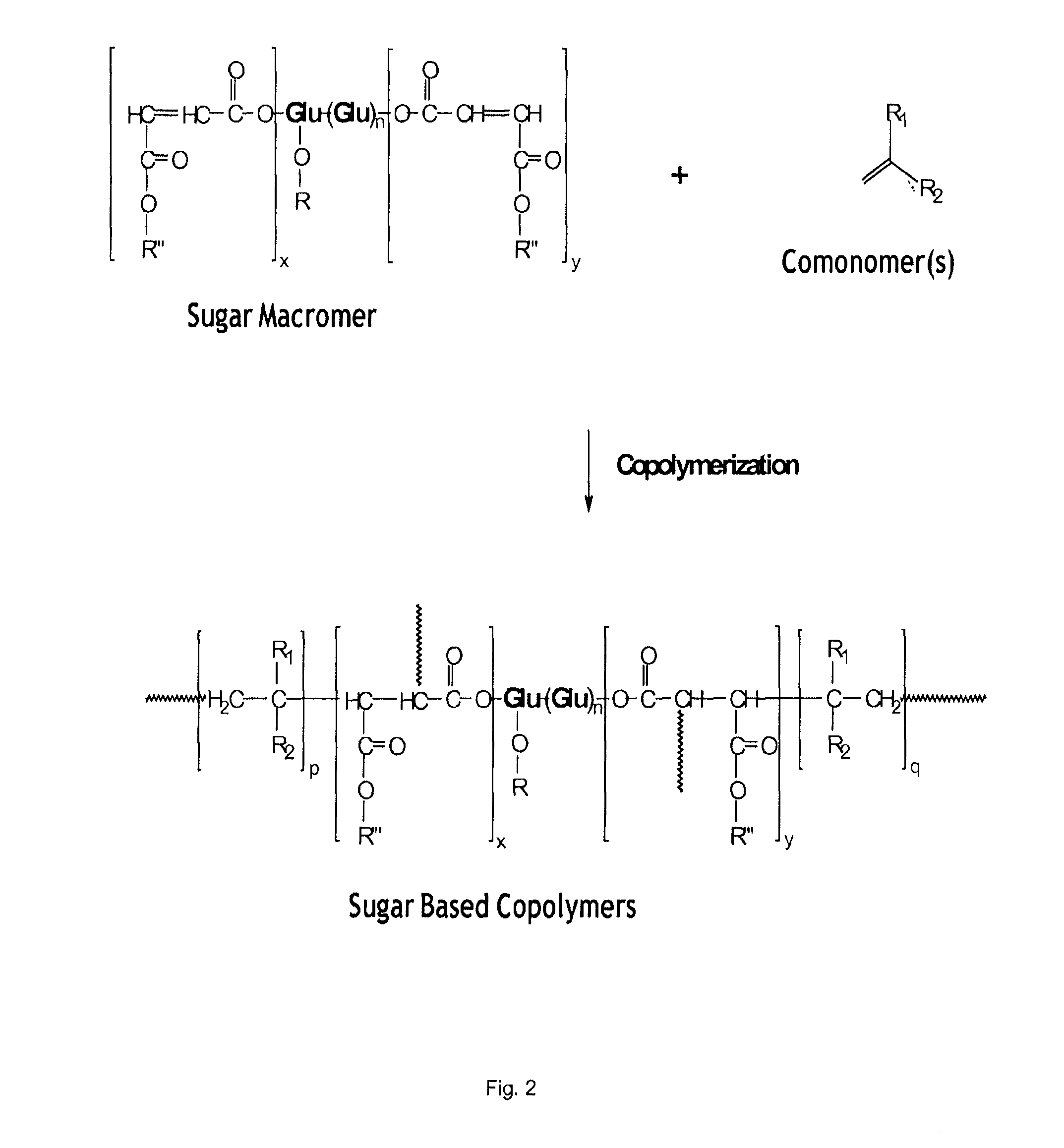 Use of biobased sugar monomers in vinyl copolymers as latex binders and compositions based thereon