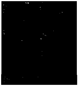 Refractory brick surface scratch identification method based on frequency domain filtering enhancement