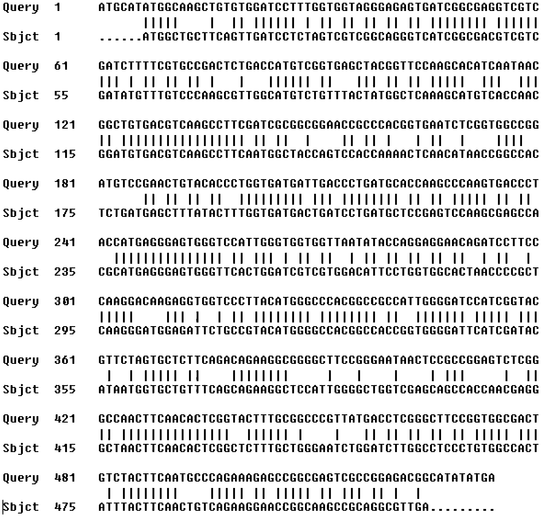 African agapanthus flowering gene ApFT protein and coding gene and probe thereof