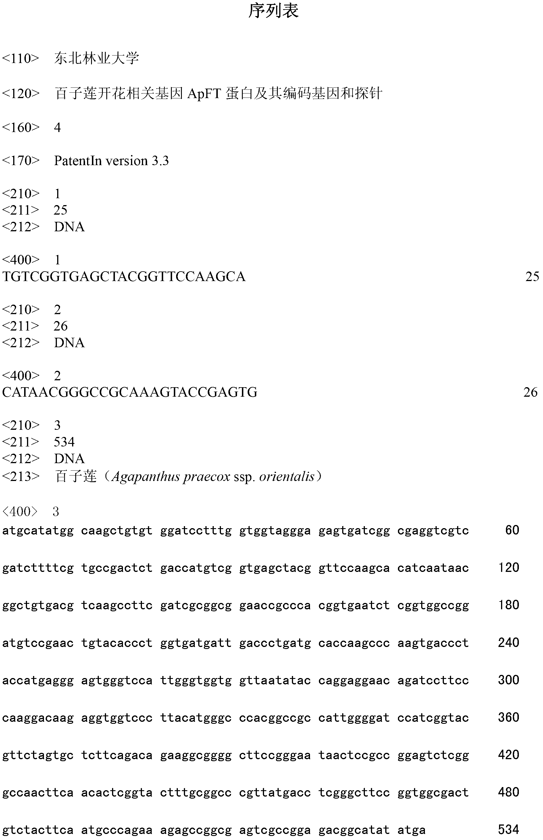 African agapanthus flowering gene ApFT protein and coding gene and probe thereof