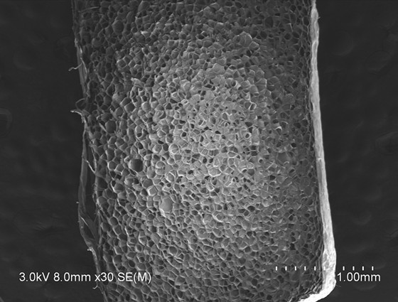 Expandable polylactic acid composite micro-particle with core-shell structure, foamed bead and preparation method of molded piece of expandable polylactic acid composite micro-particle