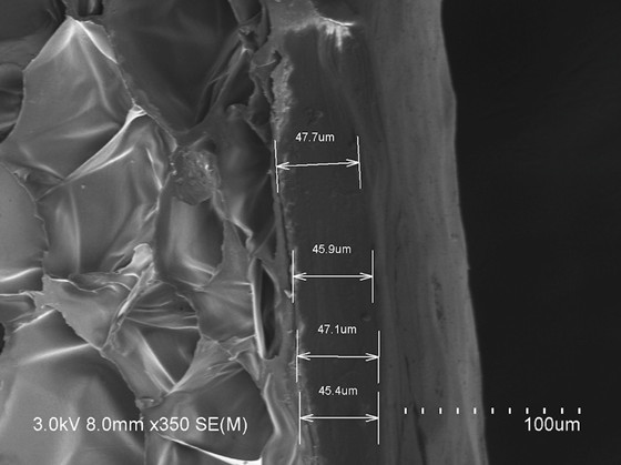 Expandable polylactic acid composite micro-particle with core-shell structure, foamed bead and preparation method of molded piece of expandable polylactic acid composite micro-particle