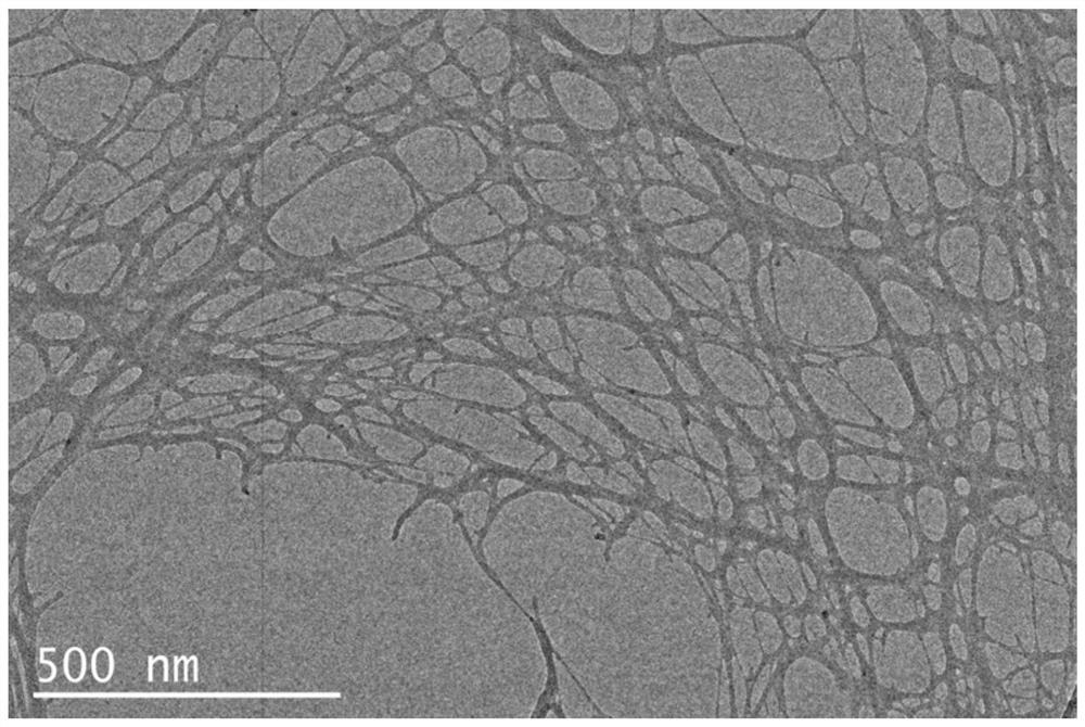 Nanocellulose powder material and preparation method, redispersed nanocellulose slurry containing the same, and application