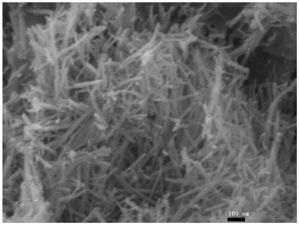 Nanocellulose powder material and preparation method, redispersed nanocellulose slurry containing the same, and application