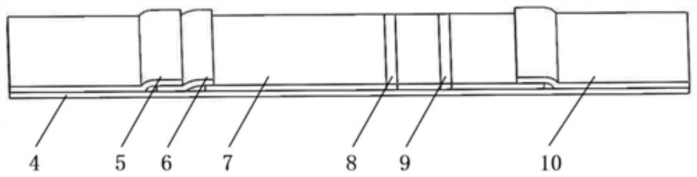 Nucleic acid probe composition, pretreatment liquid, nucleic acid detection kit and detection method