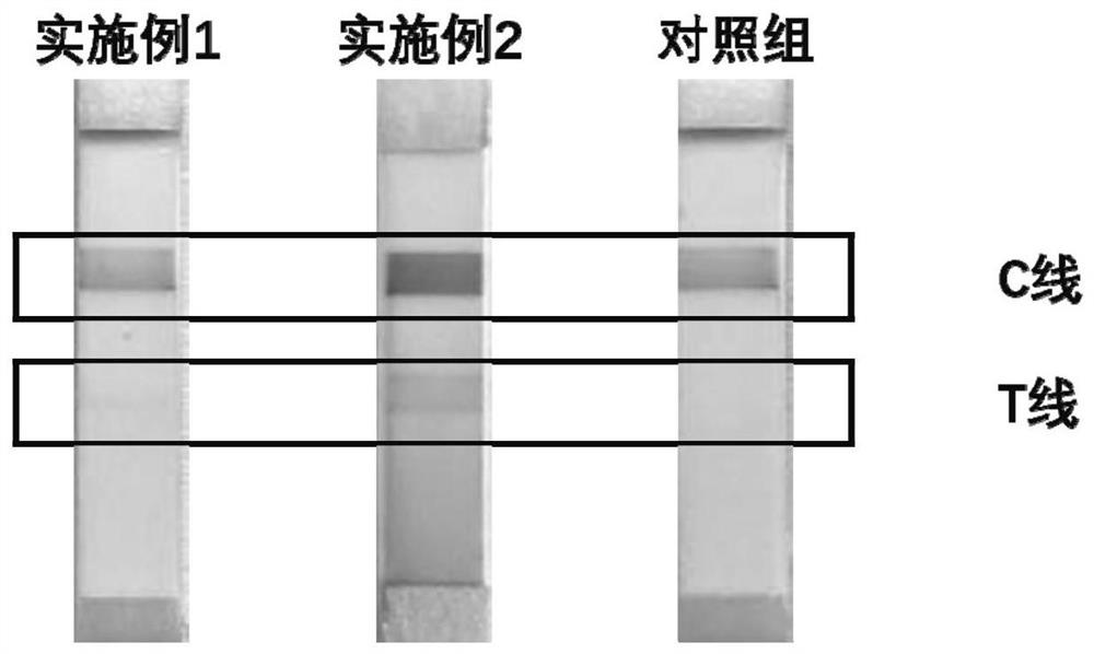 Nucleic acid probe composition, pretreatment liquid, nucleic acid detection kit and detection method