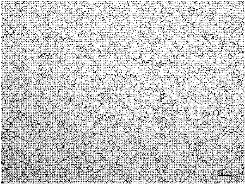 Method for preparing nuclear functional material tungsten-tantalum alloy plate