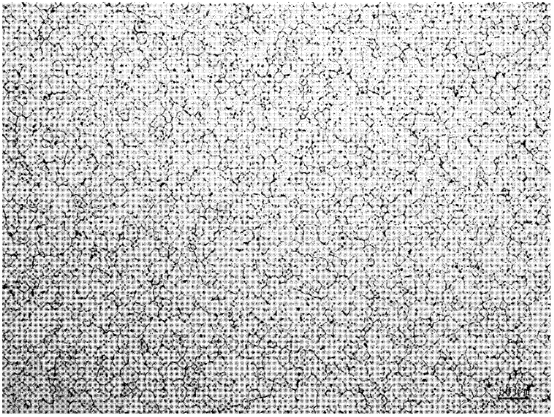 Method for preparing nuclear functional material tungsten-tantalum alloy plate