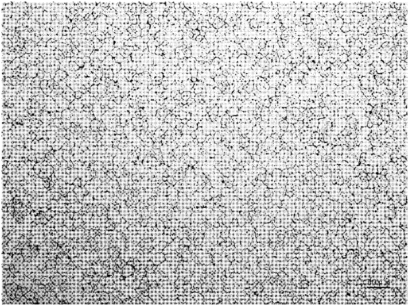 Method for preparing nuclear functional material tungsten-tantalum alloy plate