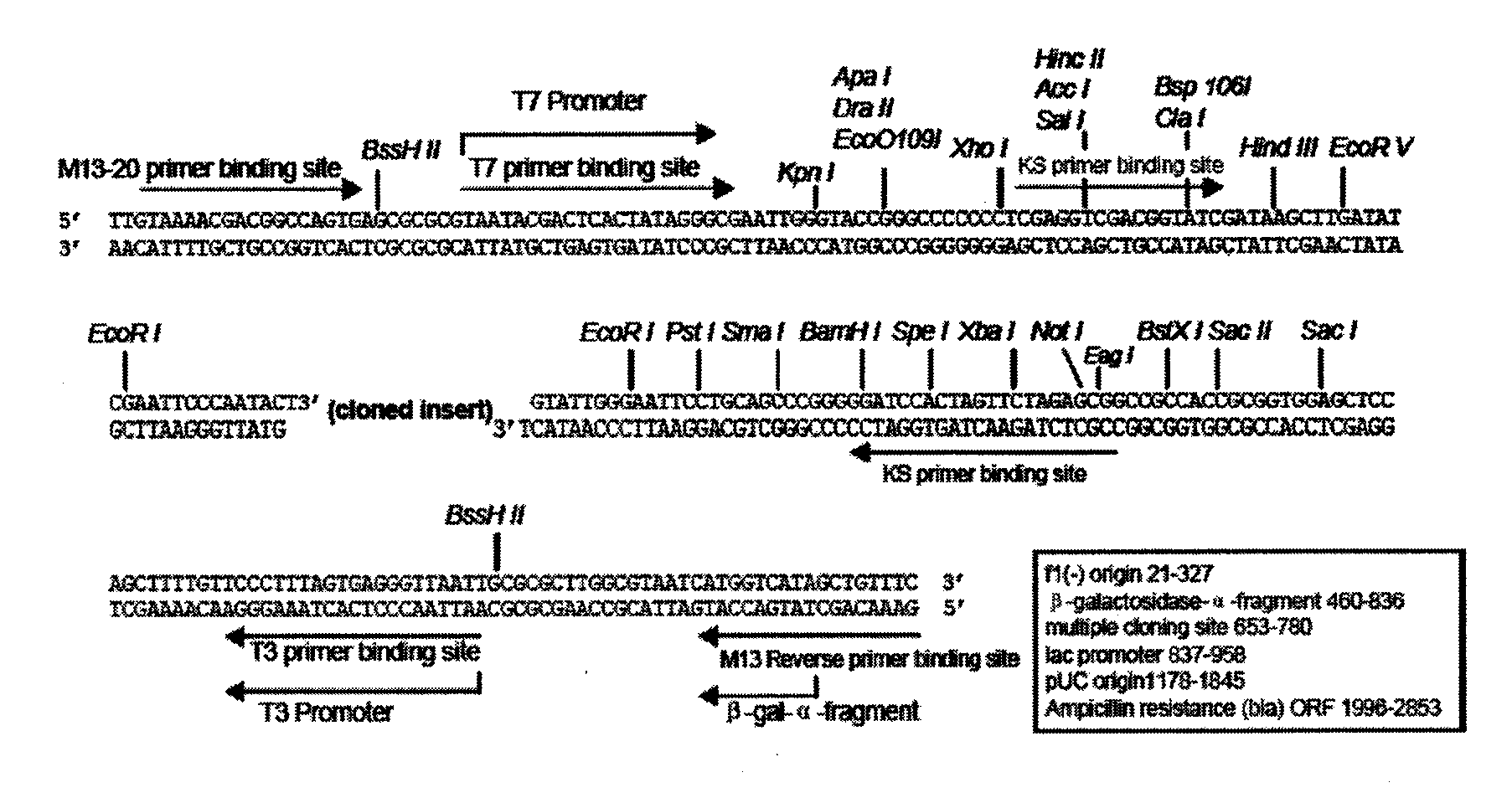 Reagent kit for synchronously detecting hepatitis, AIDS virus and syphilis helicoid nucleic acid