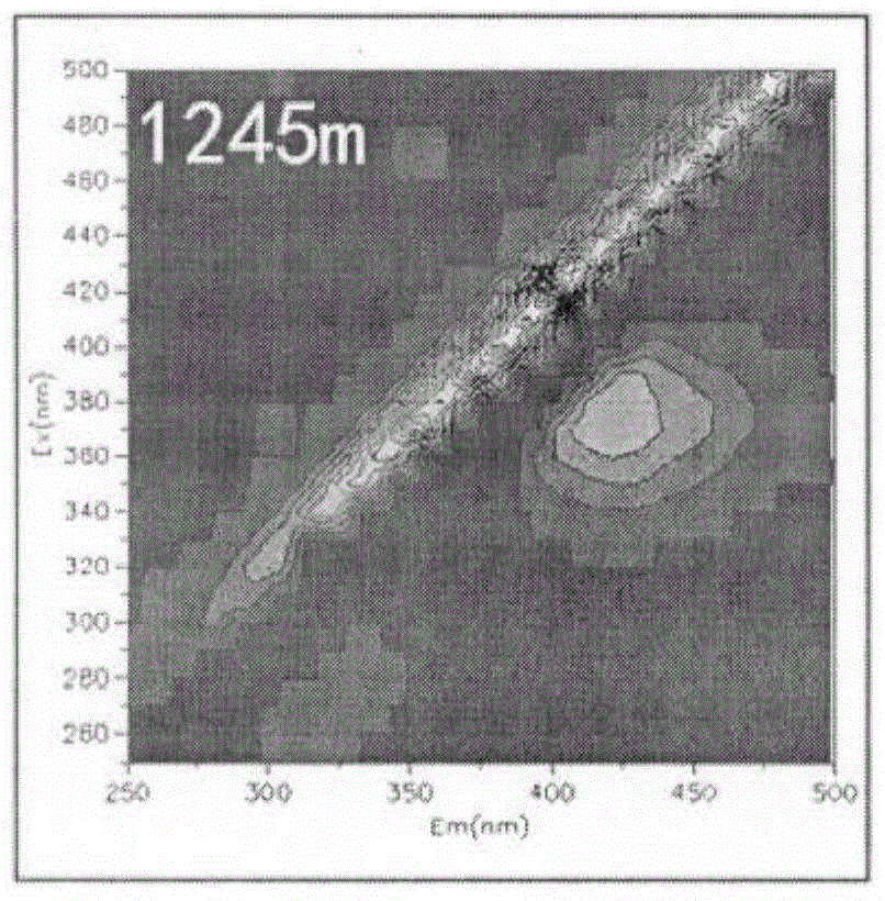 Method for identifying true or false oil and gas show through three-dimensional quantitative fluorescence