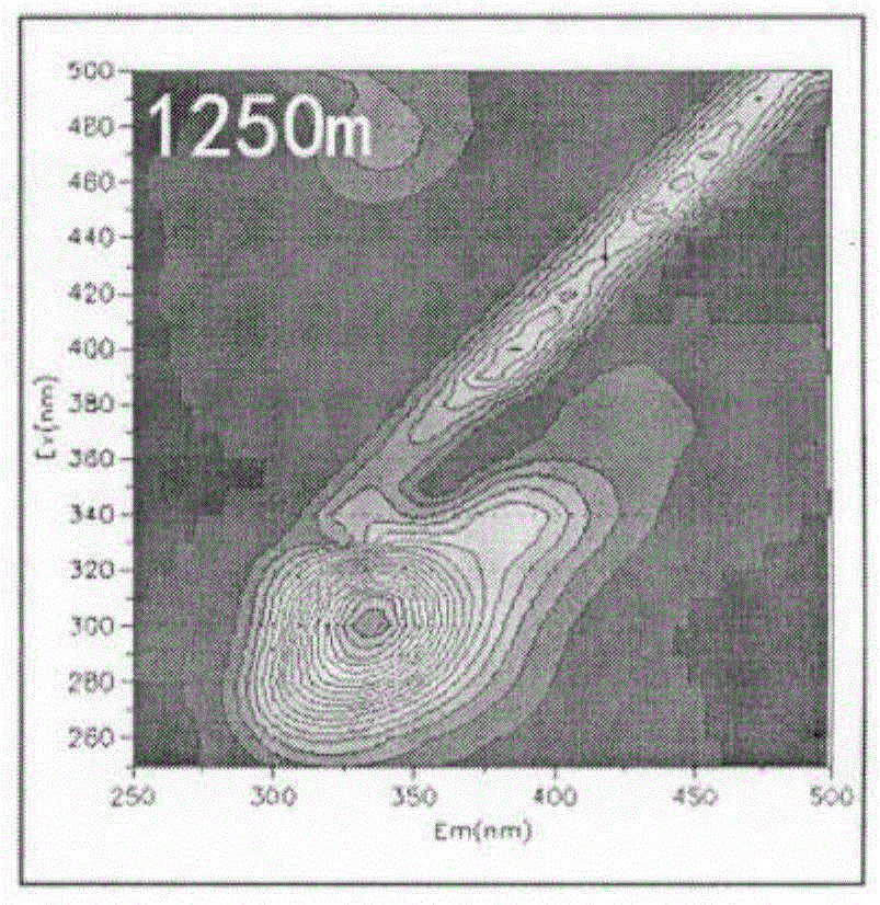 Method for identifying true or false oil and gas show through three-dimensional quantitative fluorescence