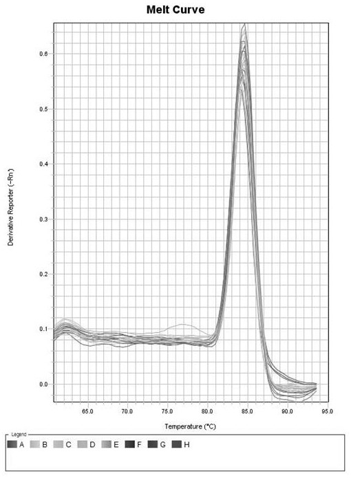 Absolute fluorescent quantitative PCR detection method for chicken infectious anemia viruses