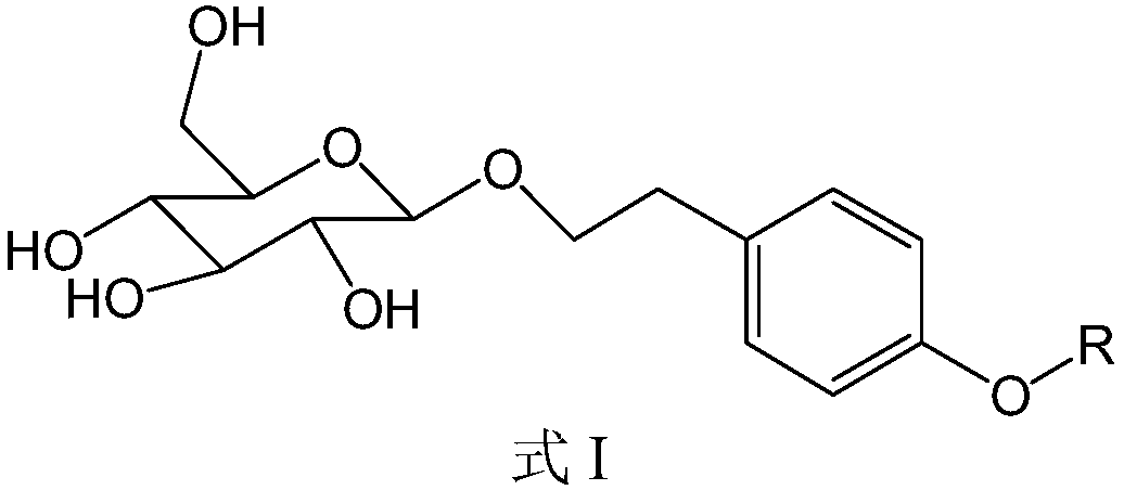 Salidroside derivative and preparation method and application thereof